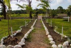 Ecoparcelacion Arrayanes - Finca en San Carlos Guaroa, Meta